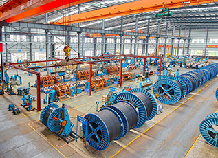 巅峰国际官网-相信品牌力量